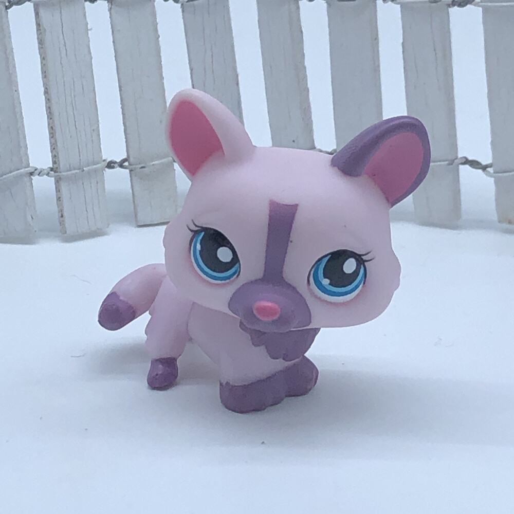 BOSTON TERRIER DOG #857 - Authentic Littlest Pet Shop - Hasbro LPS